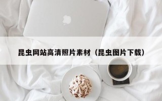 肇东昆虫网站高清照片素材（昆虫图片下载）